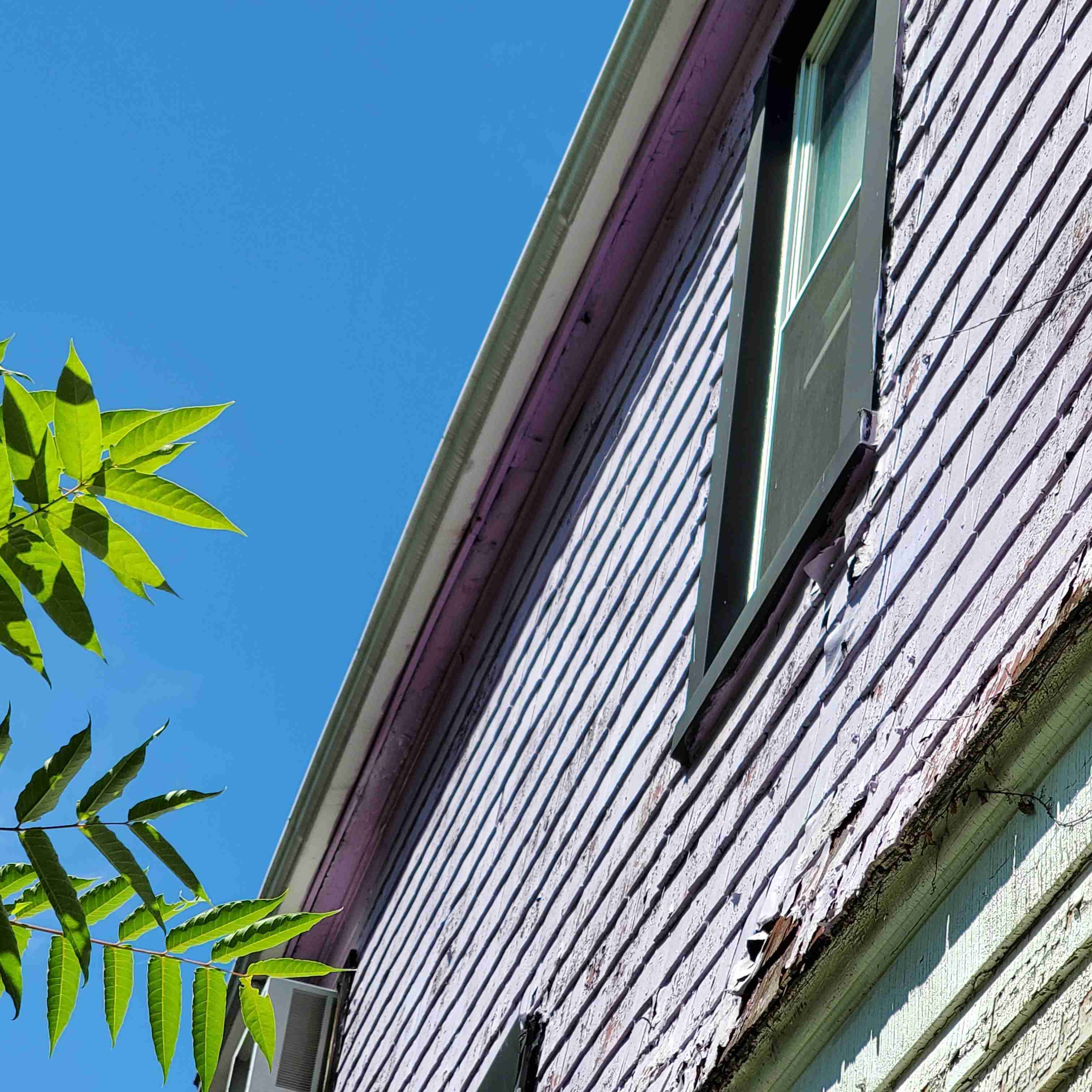 20200812_125225 (2).jpg